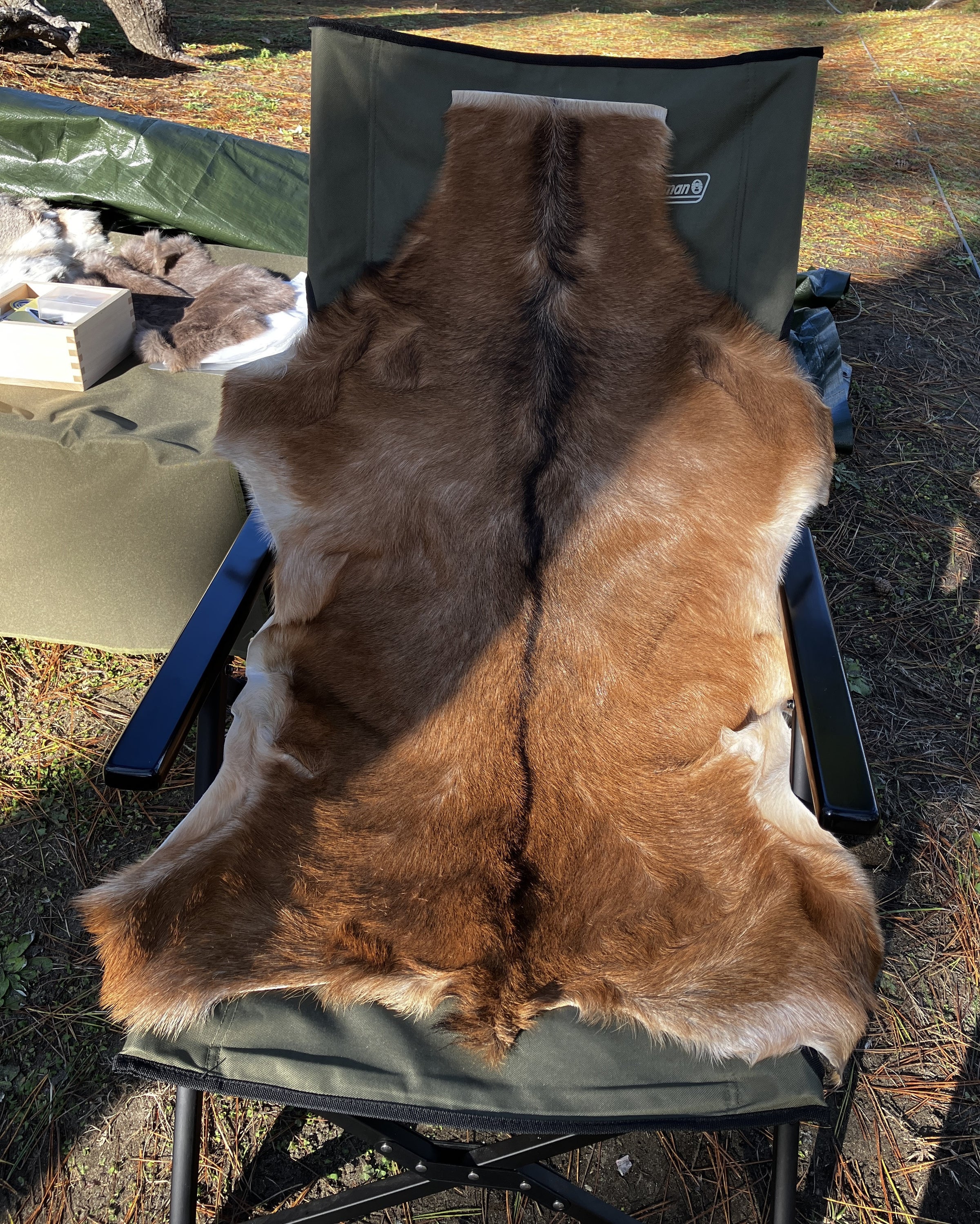 ヤギ毛皮【お座敷・ハイバックの椅子におすすめ】 | ボッコル